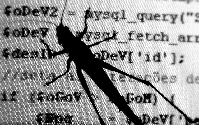 software bug